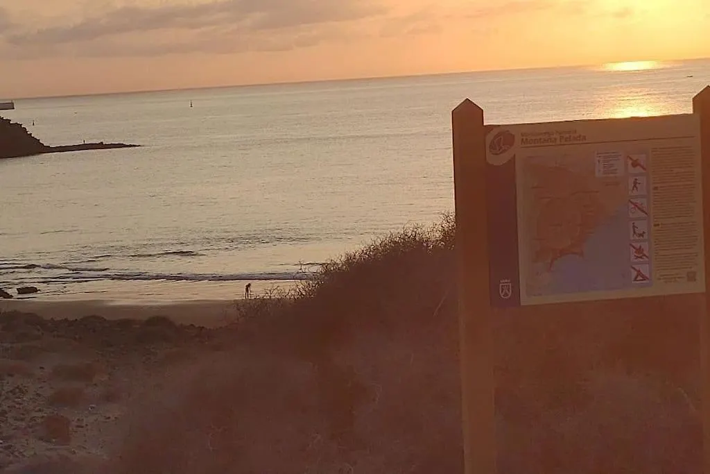 Loft Surf & Playa El Medano Con Wifi Luminoso Ideal Con Mascotas アパート エル・メダノ