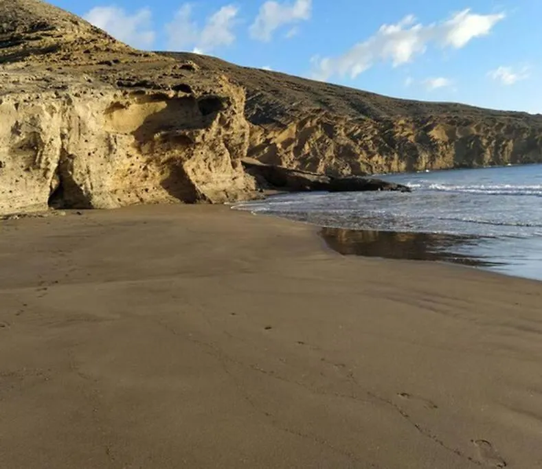Loft Surf & Playa El Medano Con Wifi Luminoso Ideal Con Mascotas
